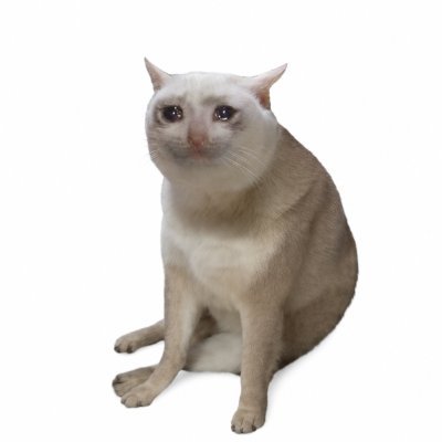 Cash Cats Strategy